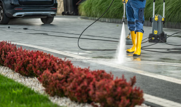 Best Driveway Pressure Washing  in Brass Castle, NJ